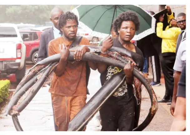 Harare Duo Caught Stealing TelOne Copper Cables Appear in Court