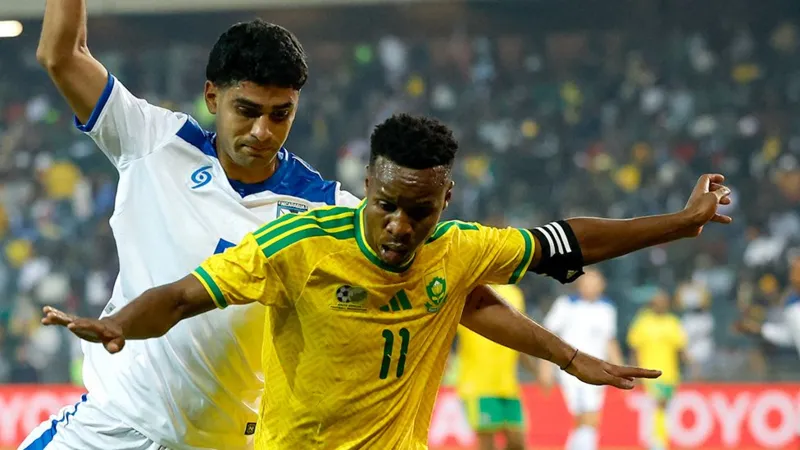 South Africa World Cup Visa Issues Draw Minister Criticism