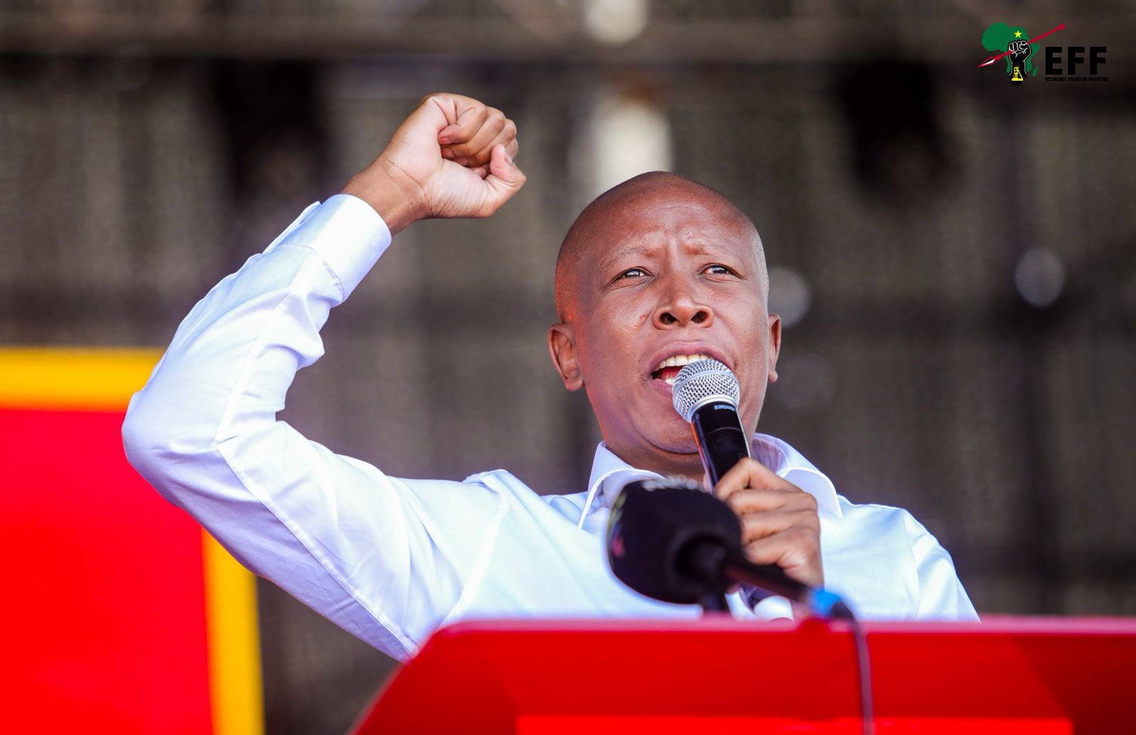 Malema Urges Zimbabweans to Seek Jobs at Home, Prioritizes South African Employment